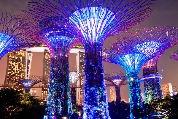 Night view of The Supertree Grove at Gardens near Marina Bay. Singapore