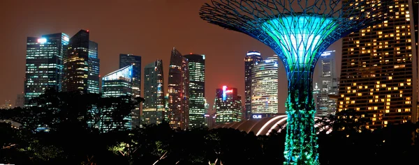 Night view of The Supertree Grove at Gardens near Marina Bay in Singapore
