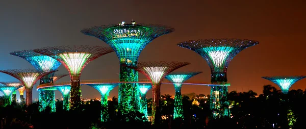 Night view of The Supertree Grove at Gardens near Marina Bay. Singapore