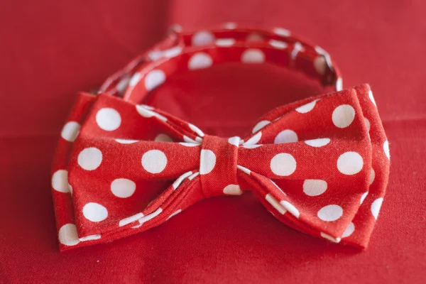 Red polka dot tie butterfly rests on a red in background