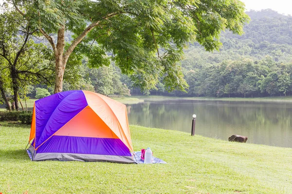 Dome tents camping in forest