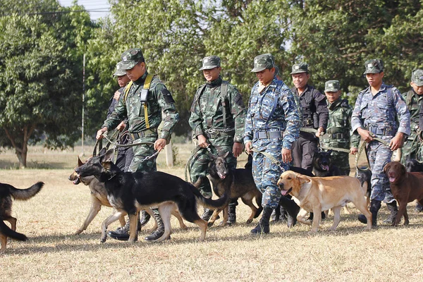 Training Dogs of War