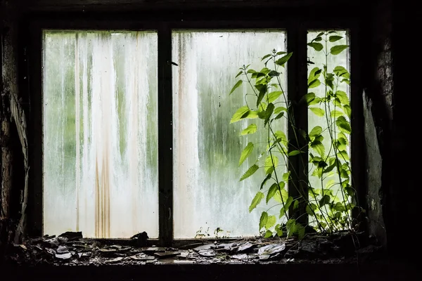 Window with debris in abandoned school in Pripyat