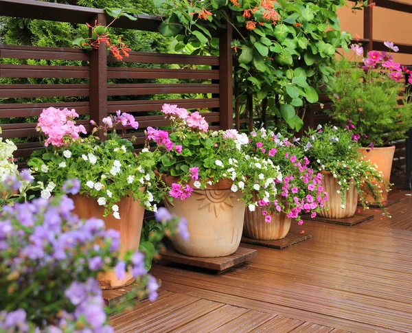 Decorative flower pots on wooden terrace