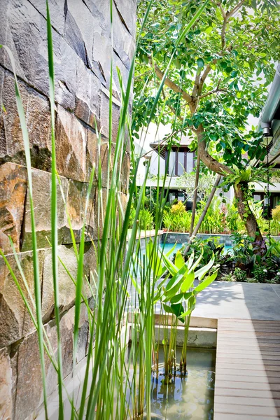 Stone waterfall beside plant grown pond behind a  green garden