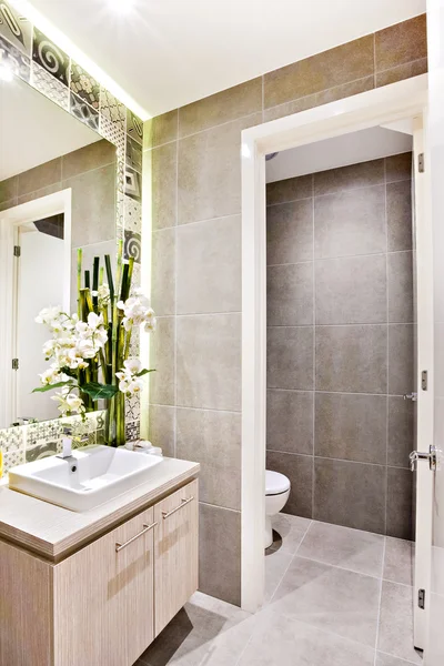 Modern washroom with fancy decoration items beside the mirror