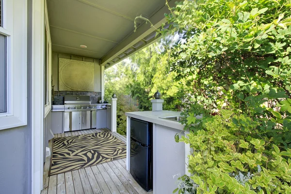 Outdoor kitchen area with zebra rug and plants.