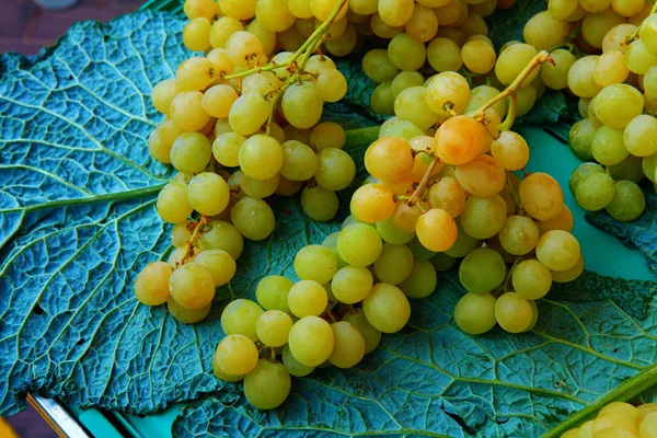 Ripe green grapes lying on the leaves