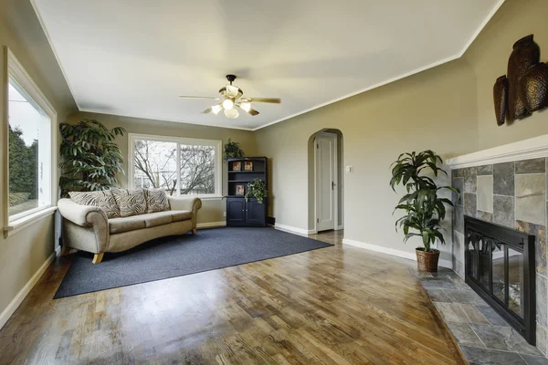 Salone verde classico elegante con camino — foto stock © iriana88w ... Saloni con parquet
