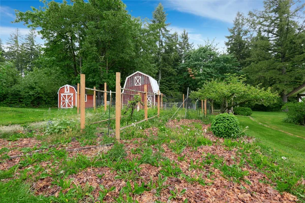 Home garden on backyard with  two red barns shed