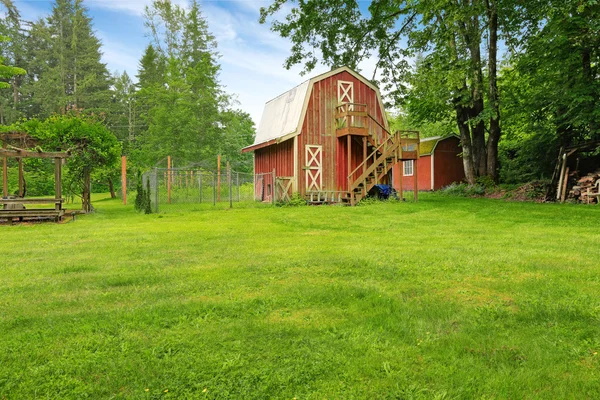 Home garden on backyard with red barn shed