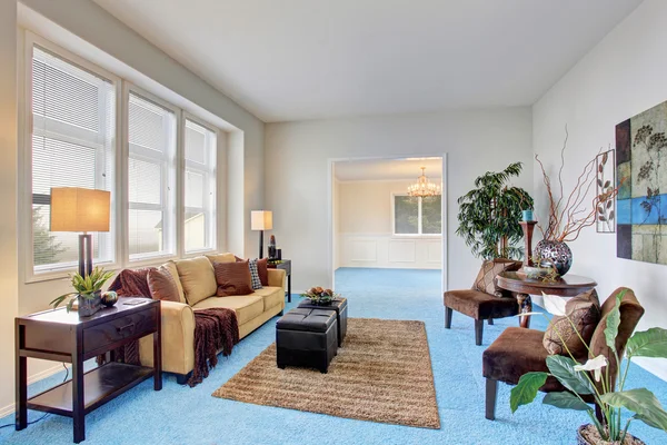 Cozy modern living room with blue carpet floor