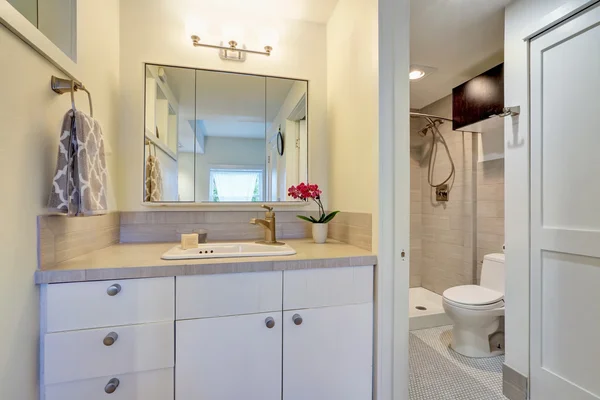 White bathroom interior design with flower pot.