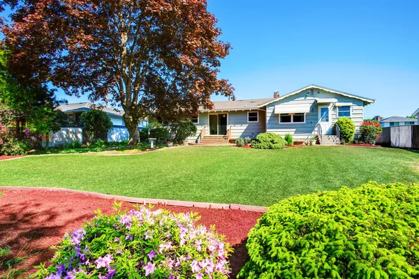 Well kept back yard with big maple tree. House exterior