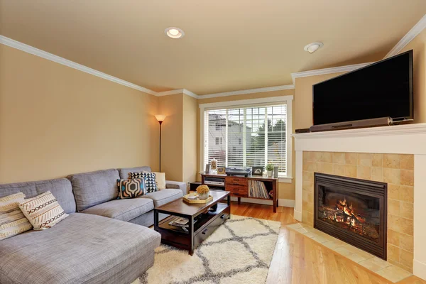 Small yet cozy family room with corner fireplace and grey sofa