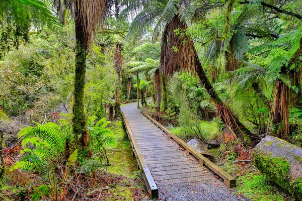 Small wooden bridge in the rain forest. Fox Glacier, South Island, New Zealand
