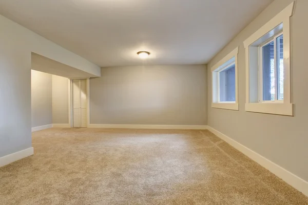 Empty room interior with blue tones walls and carpet floor.