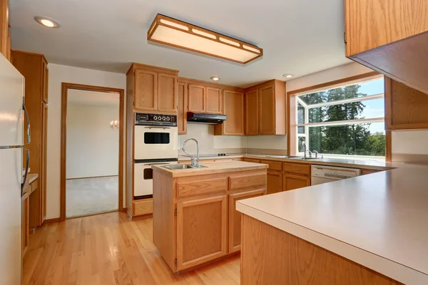 Kitchen room interior with wooden cabinets  and hardwood floor.