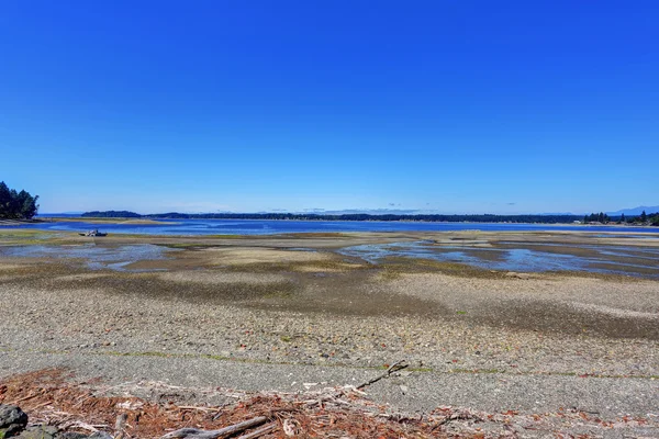 Amazing water view from the back yard of waterfront house