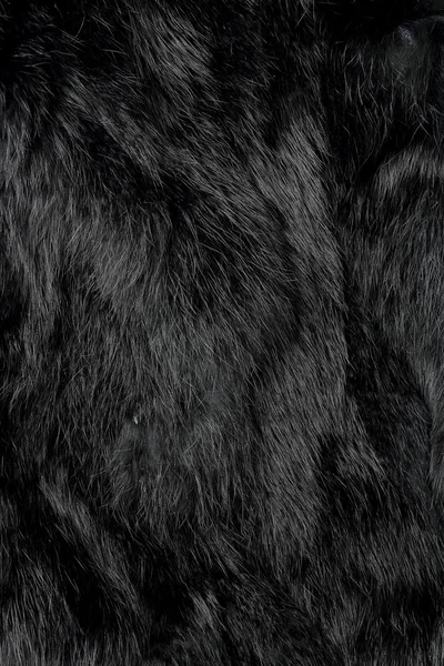 Black fur Images - Search Images on Everypixel