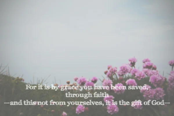 Inspirational verse from the bible on a blurred background