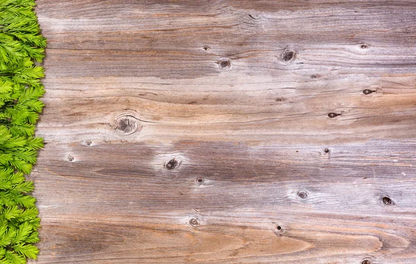 New fir tree branch tips on rustic wood board for holiday season