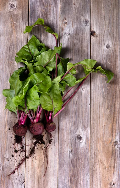 Uncleaned freshly harvested beets on rustic wooden boards