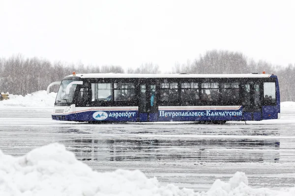 Airfield bus transports passengers at airport Petropavlovsk-Kamchatsky. Kamchatka Peninsula, Far East, Russian Federation.