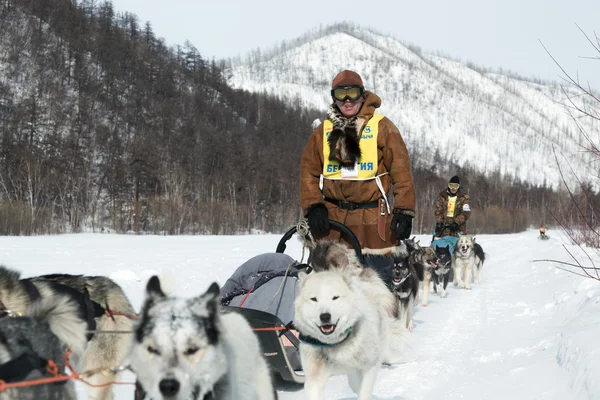 Kamchatka extreme Sled Dog Racing Beringia. Russia, Far East