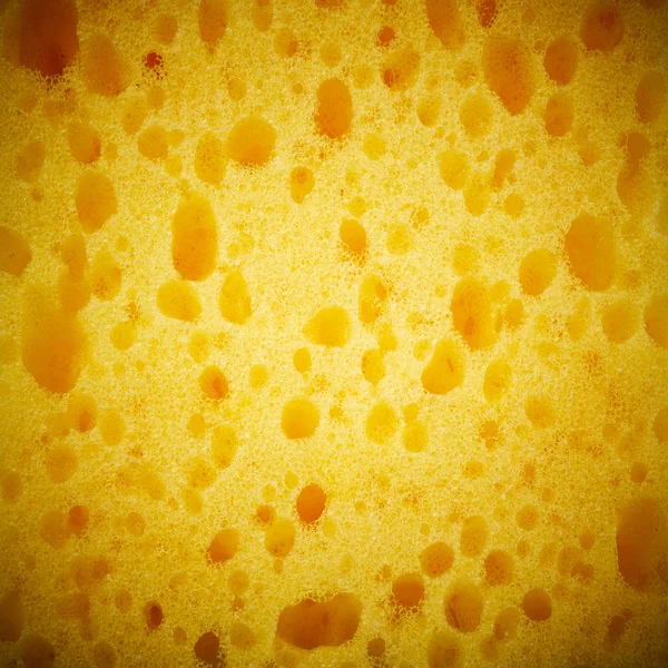 Yellow sponge texture