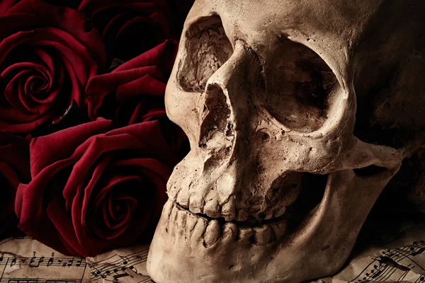 Skull with red roses a