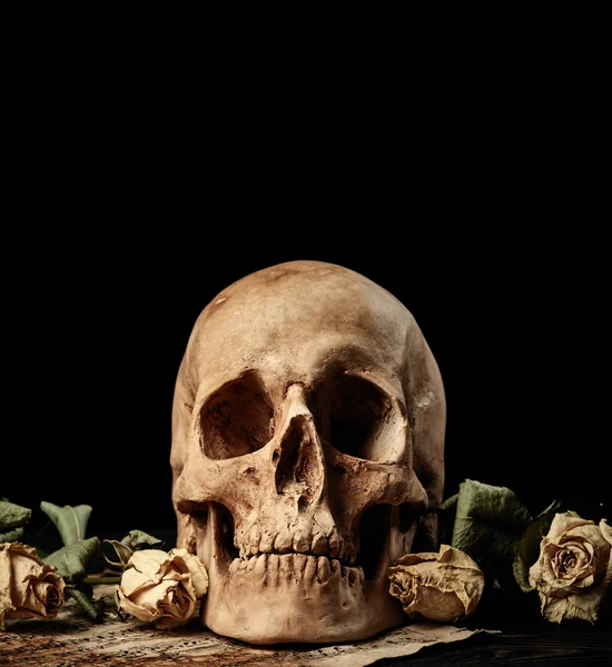 Skull with dry roses