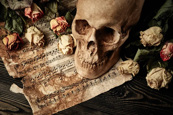 Skull with dry roses