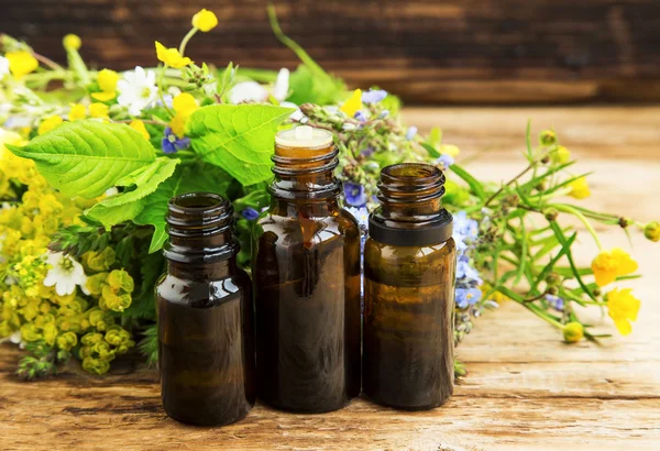 Herbal medicine with plants extracts and essence bottles