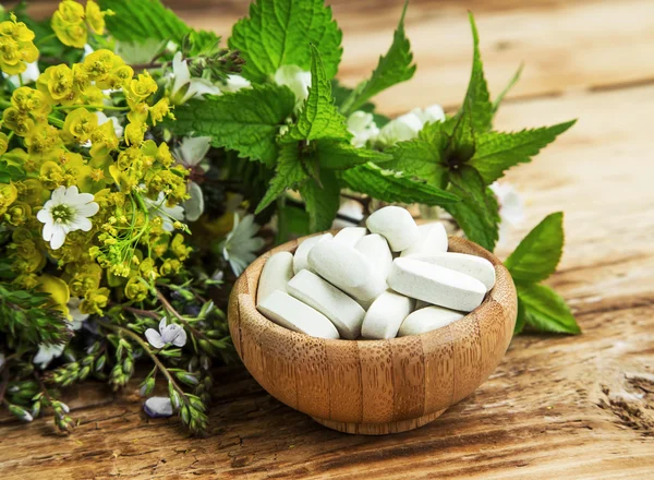 Alternative medicine with plants extract pills