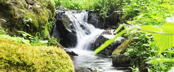 Wild Creek Waterfall in the Forest with Green Vegetation