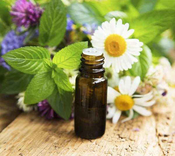 Essential Oil with Medicinal Herbs and Flowers for Alternative T