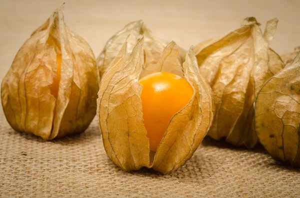 Cape gooseberry