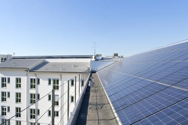 Workers of a solar power plant