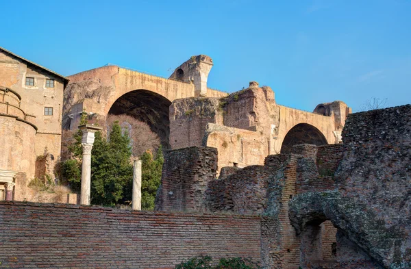 Ruins on the Palatine hill