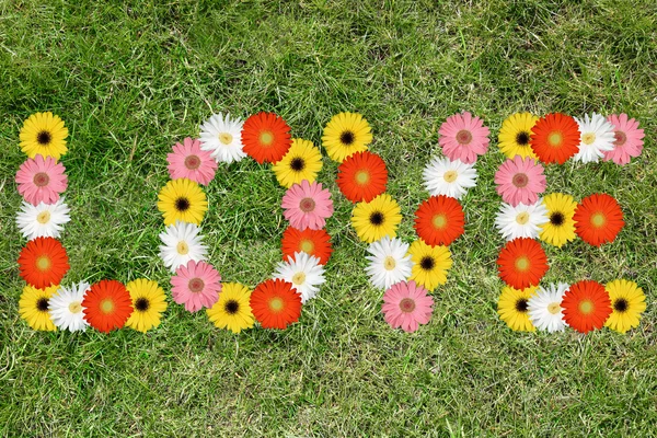 Love from flowers flower spring nature meadow grass