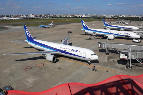 ANA All Nippon Airways airplanes at Fukuoka airport in Japan