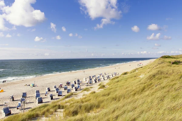 Beach and Sand Dune.Beach covered with Marram Grass, Germany, Sylt, List.