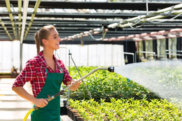 Female commercial gardener watering plants