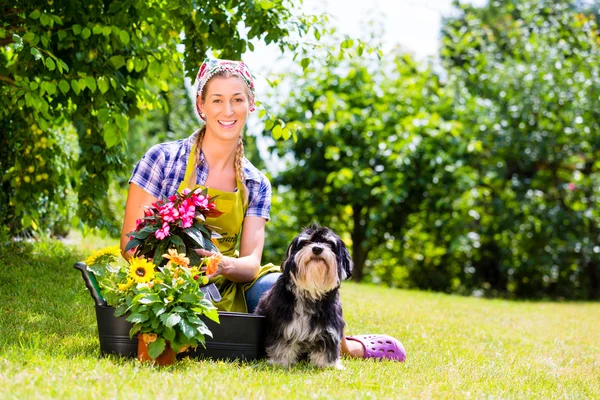 Woman in garden with flowers and pet dog