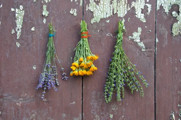 Medical herbs bunch on old wooden wall