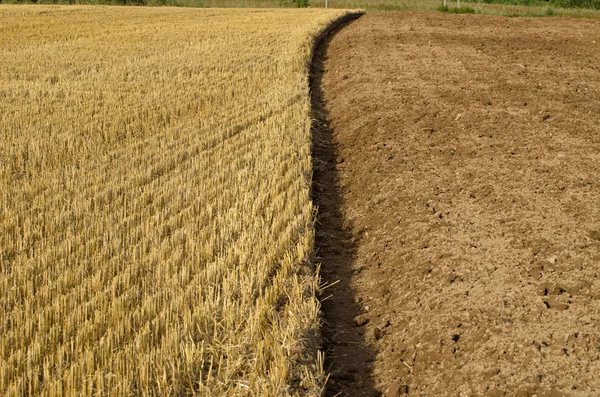 Straw stubble and cultivated earth soil on farm field