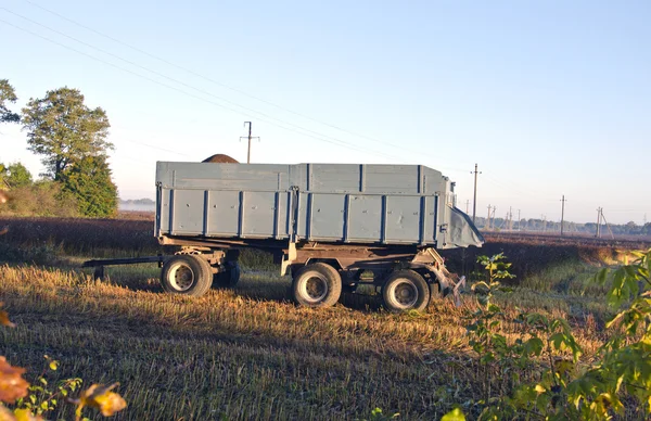Tractor trailer on farm field in autumn morning