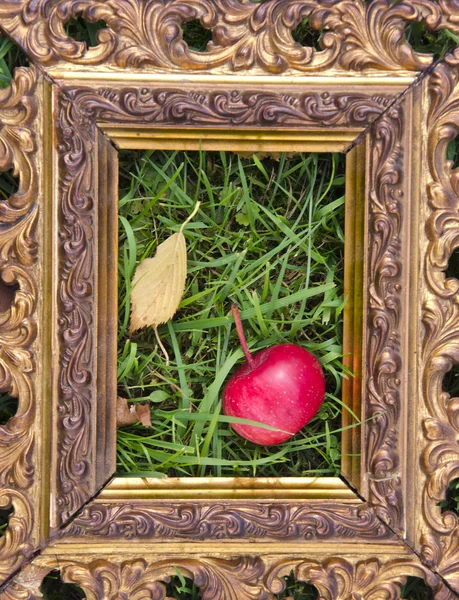 Antique frame with ecological apple placed on lawn