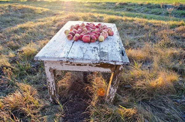 Apples on the table in the meadow on autumn morning